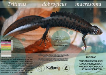 edukativni letci / dobrogicus educational leaflets